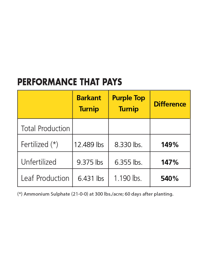 Barkant Forage Turnip