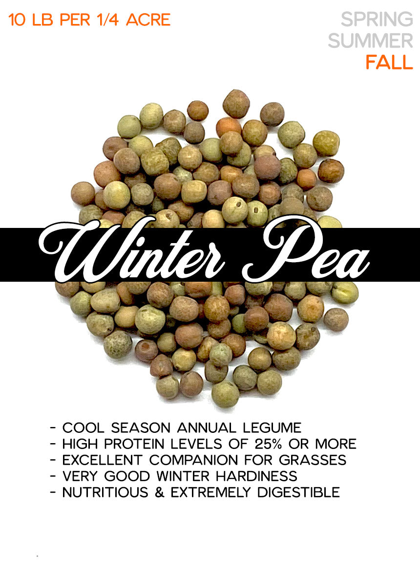 Winter Peas